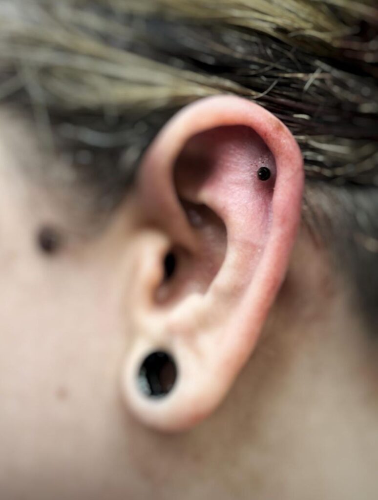 Пирсинг Сервис - Imaginea 42